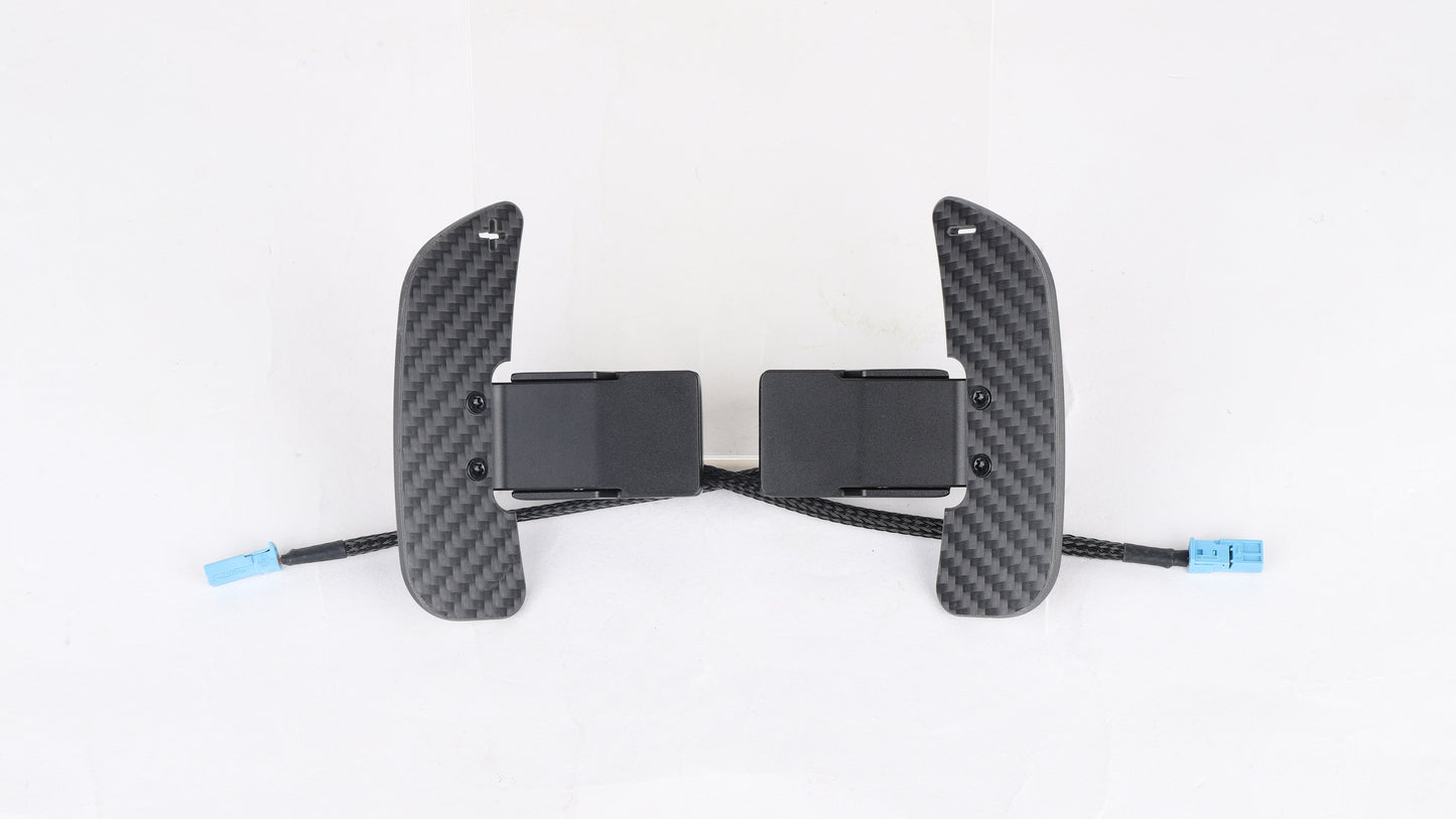 Carbon Schaltwippen